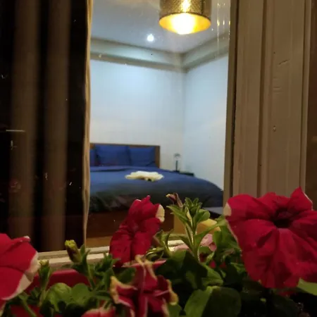 Amelia's Guest house *